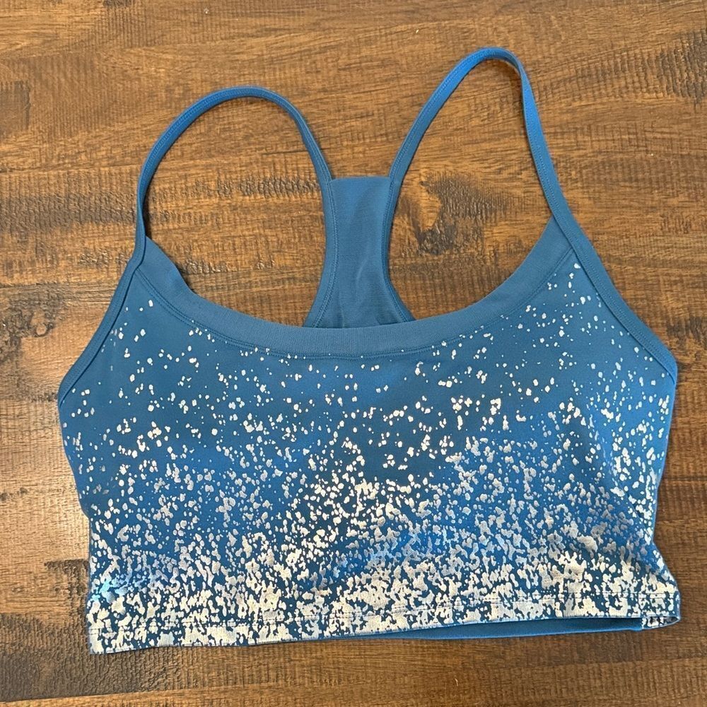 Marika Sports Bra With Silver and Blue